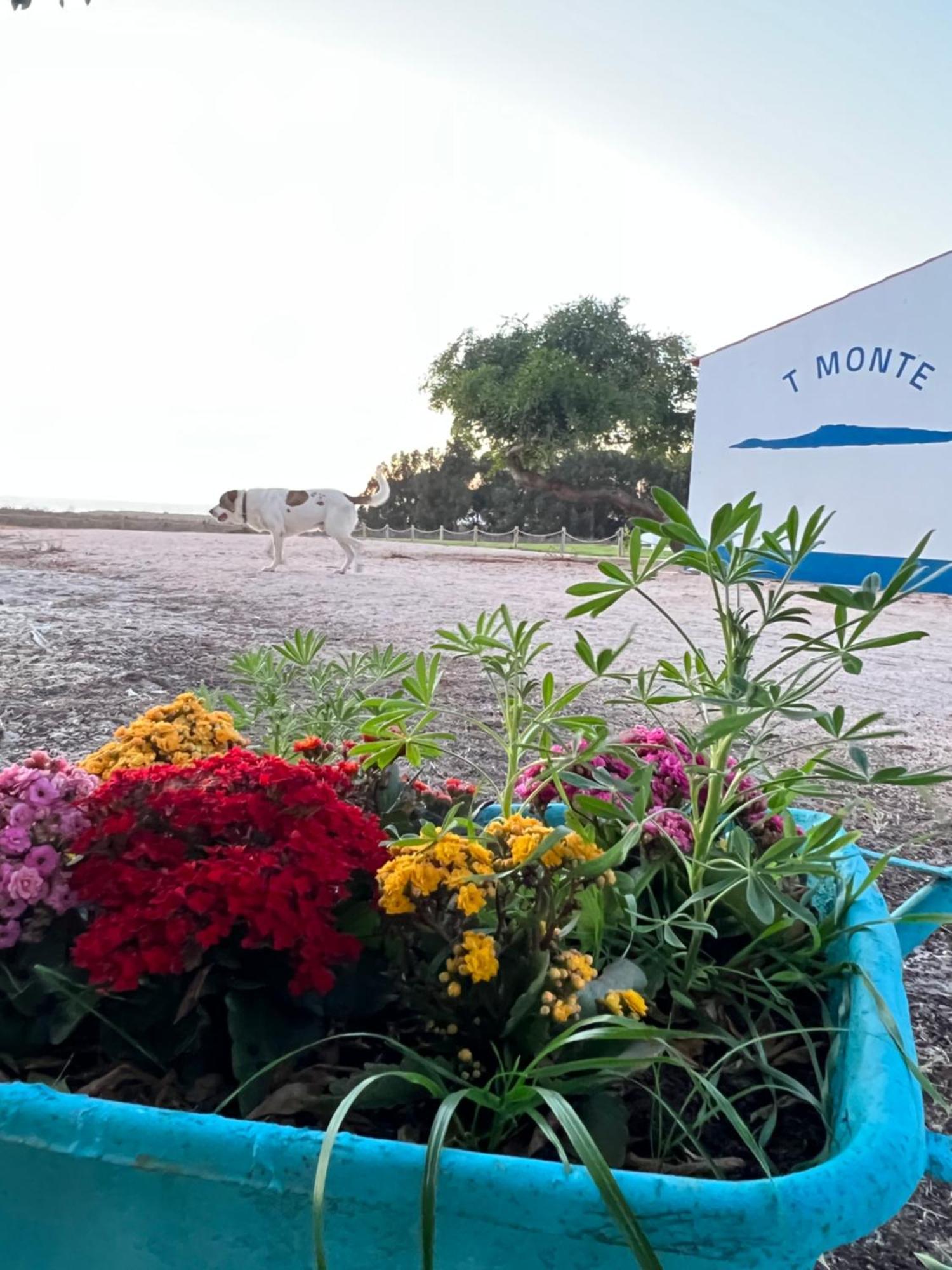 T Monte Villa Порту Кову Екстериор снимка